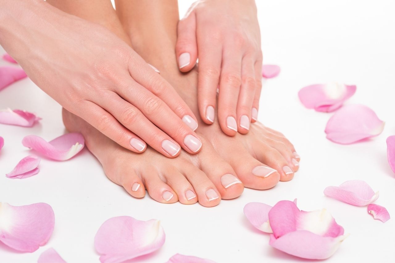 podolog-imielin podolog Imielin